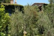 Porciglia Alta Hotel Montespertoli Exterior photo